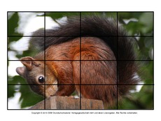 Puzzle-Eichhörnchen-17.pdf